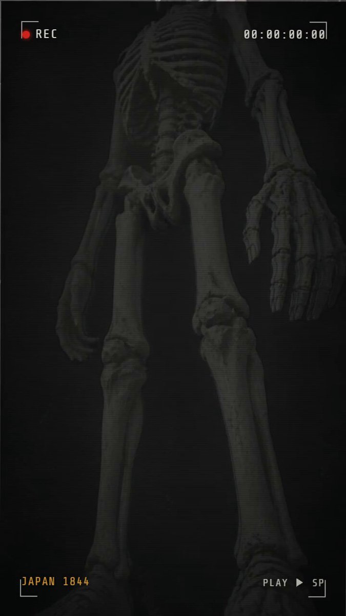 AI Video Automation Lessons: Why Horror Shorts with Claude Code and Google Flow Stalled