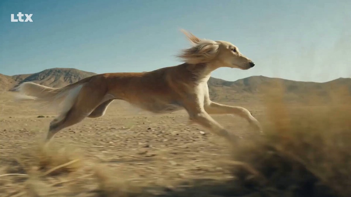 LTX Unveils Alpha Gen (Beta): AI VFX Tool Extracting Frame-Accurate Alpha Mattes Without Green Screens