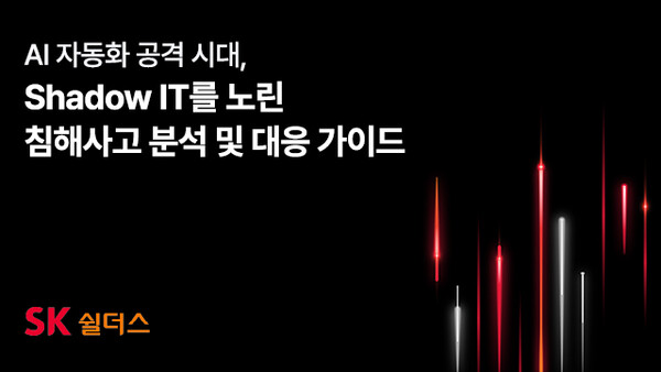 금융권 AI 자동화 해킹 및 섀도우 IT API 보안 점검 개념도